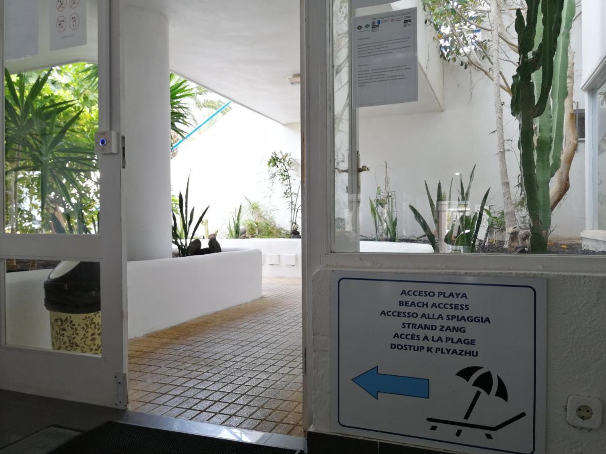 Amplio Apartamento 1 Dormitorio - Playa Paraiso エクステリア 写真